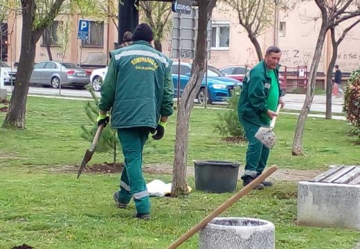 Bijeljina:April u znaku novih sadnica i ljepših trgova  (Foto)