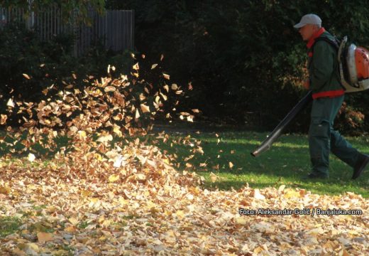 Neki su toliko oštri da ih koriste kao noževe: Zanimljivosti o lišću