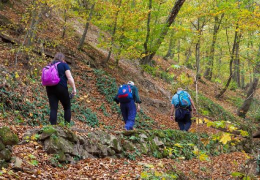 Očekuje se oko 200 učesnika: Proljećni pohod na Romaniju okuplja planinare iz cijele Srpske