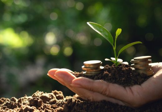 Poljoprivreda: Preko pet miliona za podsticaje