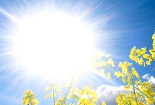 Temperatura do 25 stepeni: Sutra nas očekuje pravi proljećni dan