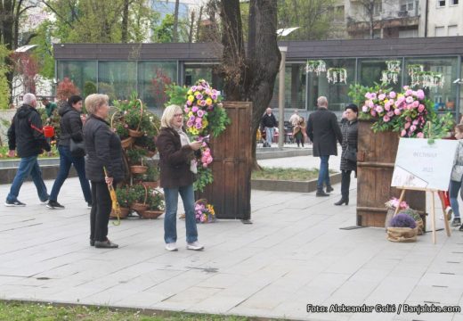 Očekuju se ugodna 24 stepena: Tokom dana sunčano i sve toplije