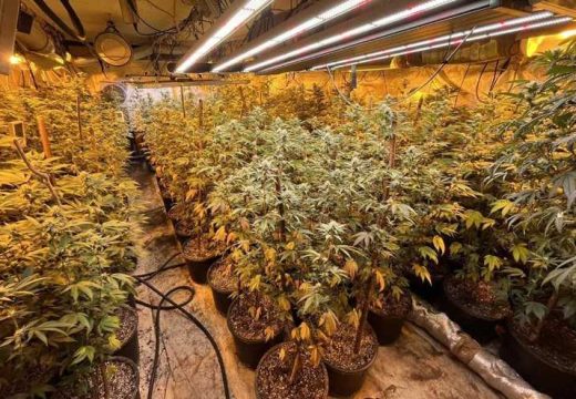 Sarajevo: Pronađena droga milionske vrijednosti (Foto)