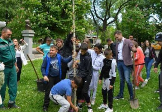 Mali, ali veliki gest: Djeca iz Dnevnog centra dala doprinos „Mjesecu čistoće“ sadnjom platana u Gradskom parku