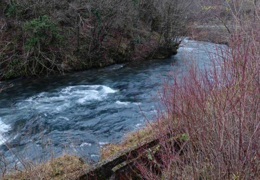 Pliva teče, ne damo je: Zbog izgradnje mini hidroelektrane sutra protestna šetnja od Šipova do ušća Sokočnice