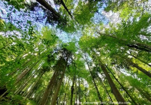 Pogodan za odmor i rekreaciju:Spremna odluka o proglašenju Parka prirode “Guber”