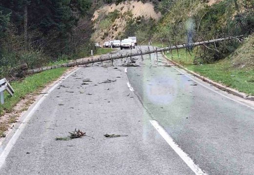 “Vjetar je opako zaljuljao auto, nikad ovo nisam doživio”: Jak vjetar oborio stablo na putu Banjaluka-Čađavica