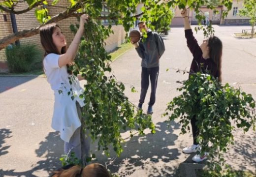Bijeljina:Mali maturanti škole “Sveti Sava” uljepšali školsko dvorište (Foto)