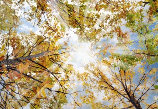 Danas sunčano i toplije: Temperatura do 29 stepeni