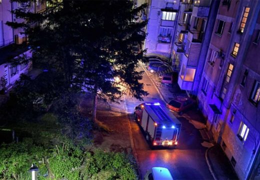 Drama u Konjicu: Poskok ušao u stan