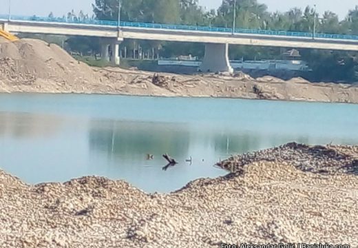 Bijeljina dobija novu turističku oazu: “Semberska ada” donosi kupanje, sport i odmor na Drini