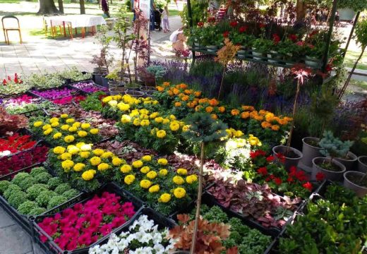 Otvoren Peti sajam cvijeća u Bijeljini:  Gradski park u znaku hiljadu boja i mirisa