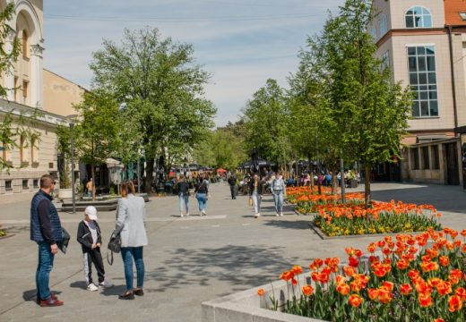 Prognoza: Ljeto je stiglo? Sutra preko 30 stepeni