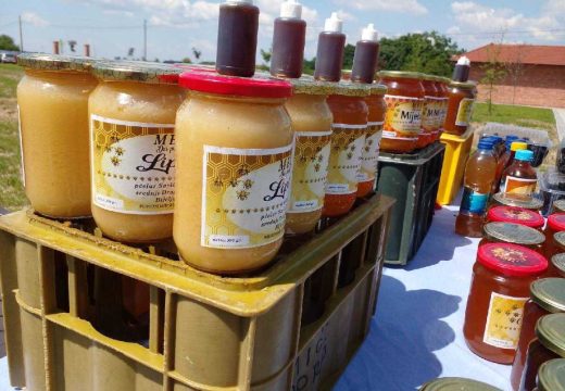 Dragan Savić, pčelar iz Srednjeg Dragaljevca: Pčelarstvo je više od hobija (Foto)