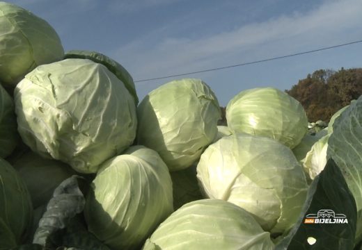 Semberski kupus, Majevički med i dimljeni sir: Koji proizvodi su dobili zaštitu?