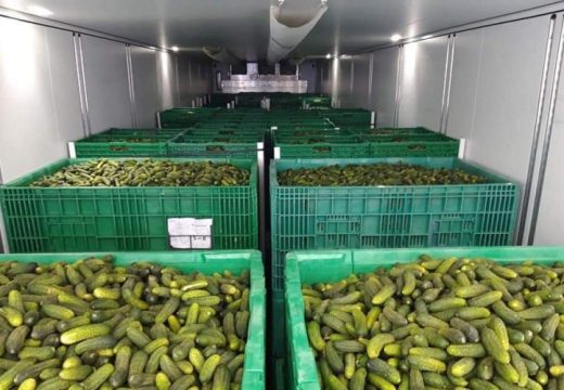 Stručnjaci upozoravaju: Širi se epidemija salmonele iz krastavaca