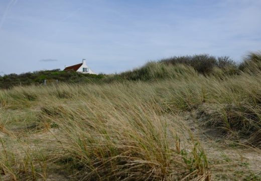 Sutra sunčano: U ovim krajevima očekuje se naoblačenje kao i vjetar