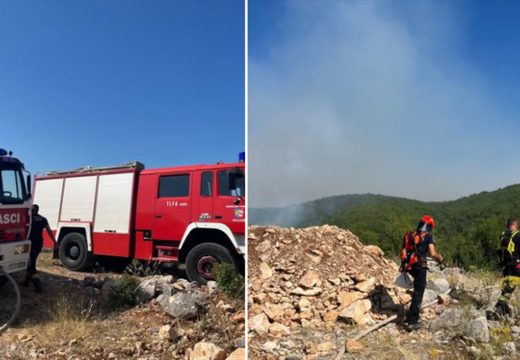 Požar kod Gruda i dalje bjesni: Vatra zahvatila više od 100.000 kvadrata šume