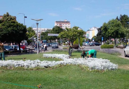 Bijeljina: Za komunalce nema predaha (Foto)