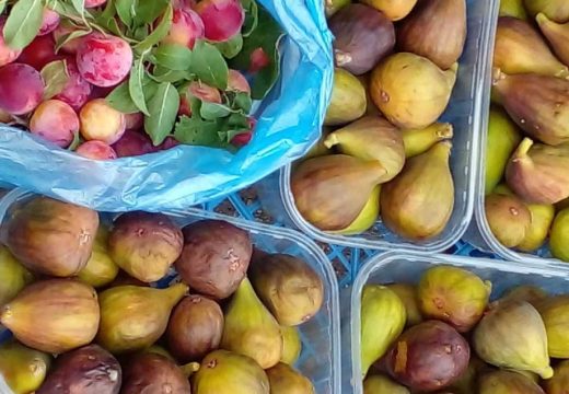 Prve plodove ljeta donijele semberske bašte: Stigle prve domaće smokve na bijeljinsku pijacu