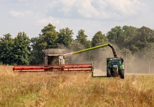 Poljoprivreda: Ovogodišnji prinos ječma u Semberiji iznad prosjeka