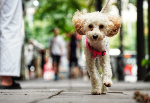 Vremenska prognoza: Kakvo nas vrijeme očekuje do kraja juna