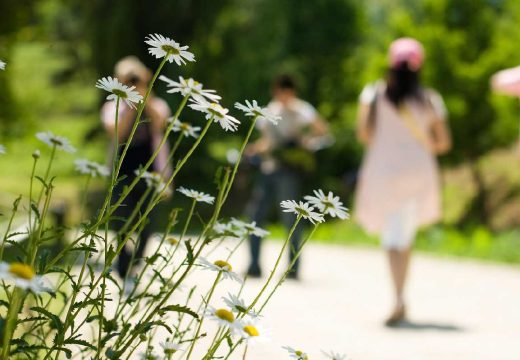 Evropu čeka prvi veliki toplotni talas: Temperature idu i do 40 stepeni