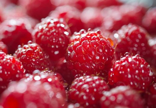 Otkupna cijena još nepoznata: Prepolovljen rod malina