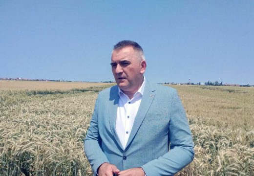 Poljoprivreda: Minić danas na žetvi pšenice u Bijeljini i Pelagićevu