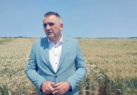 Posjeta oglednom polju pšenice u Bijeljini: Minić poručio da se očekuje prosječan rod i kvalitet
