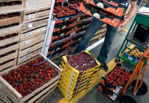 RS: Poljoprivrednici i prevoznici dižu ruke od izvoza