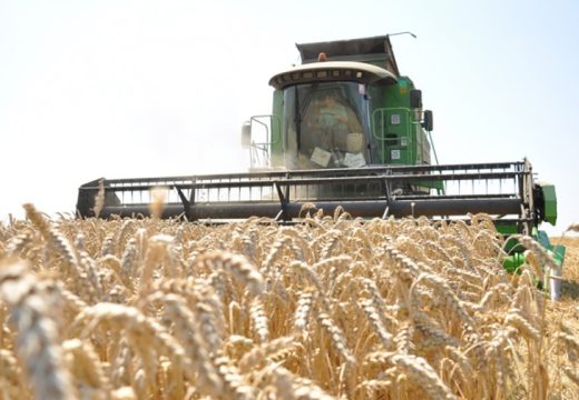 Stanje gore nego prethodne godine: Ratari strijepe od niske otkupne cijene