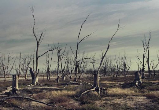 Rekordna suša u BiH: Pred nama vedro nebo i zabrinjavajuće vrućine