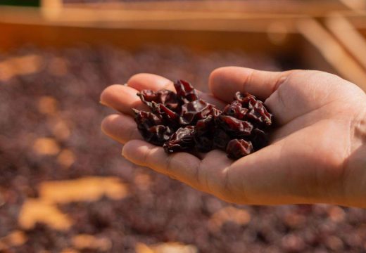 Ukusno i zdravo: Studija pokazala velike prednosti redovne konzumacije suvog grožđa