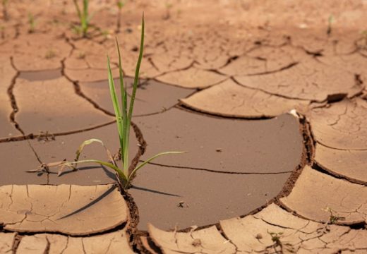 “Vegetacija u Semberiji sasušena i uništena”: Šokantni satelitski snimci Balkana izazivaju jezu