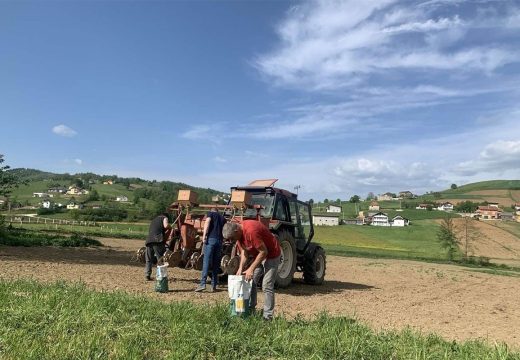 RS: Padavine izuzetno povoljne za ratarske kulture