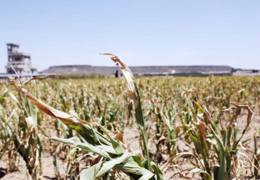 U Semberiji ni kap kiše u junu: Prognoze stručnjaka nisu optimistične