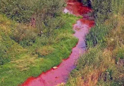 Ekološki incident: Crveni mulj završio u rijeci