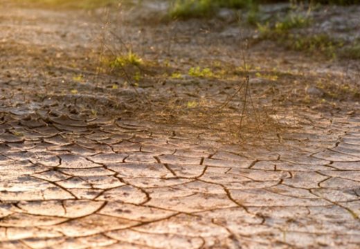 Vrućine donose rekorde: U Semberiji kiša nije padala tokom cijelog mjeseca (Foto)