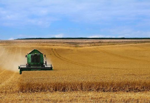 Minić: “Nema uslovljavanja cijene pšenice”