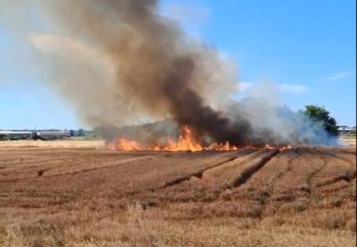 Gori u Semberiji: Vatrogasci u Bijeljini na ivici snage – 17 požara u toku