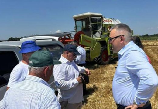 Minić: Zabilježeni dobri prinosi pšenice