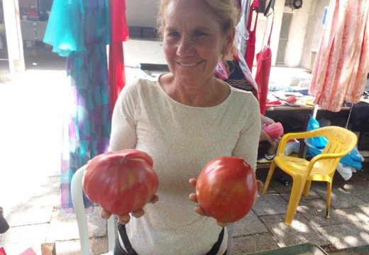 Na bijeljinskoj Zelenoj pijaci rekordni primjerci paradajza: Savkin paradajz obara sve rekorde (Foto)