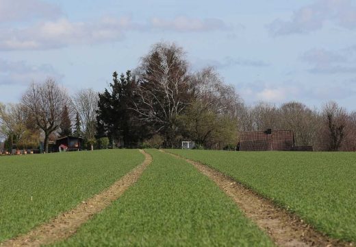 Skupo zemljište u Bijeljini: Pogledajte za koliko je prodat plac