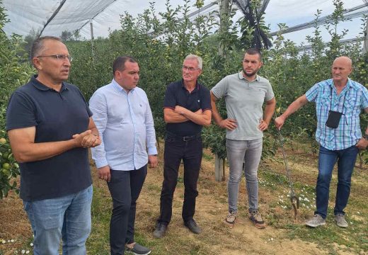 Poljoprivreda: U Grbavcima je uspješno održana demonstracija mašinske rezidbe!
