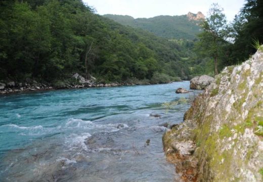 Detalji tragedije na rijeci Tari: Nastradala dva brata, jedan doživio srčani udar, a drugi pokušao da ga spasi