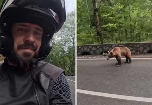 Rumunija: Marko Rokvić “oči u oči” sa medvjedom (Video)