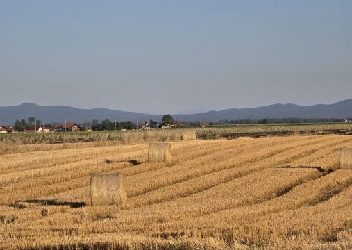 Stižu pljuskovi i grad:Semberija već više od 40 dana bez kiše