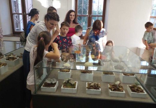 Bijeljina: Izložba “Svijet gljiva” u Muzeju Semberije