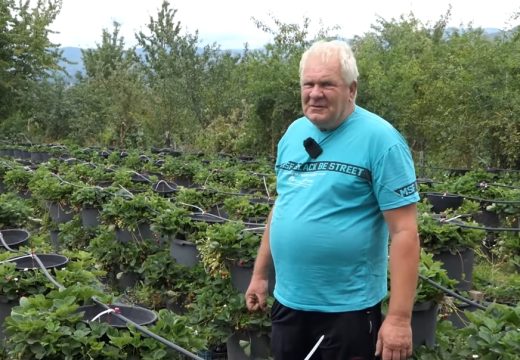 Zarađuje tri ministarske plate: Nećete vjerovati šta sve stigne da uradi penzioner sa tri bajpasa (Video)